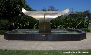 Whale Tail by Evi Koller